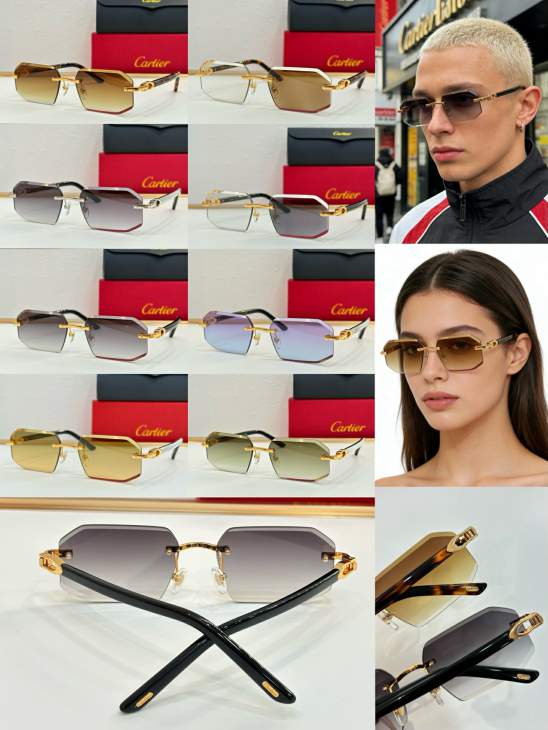 Picture of Cartier Sunglasses _SKUfw80238743fw